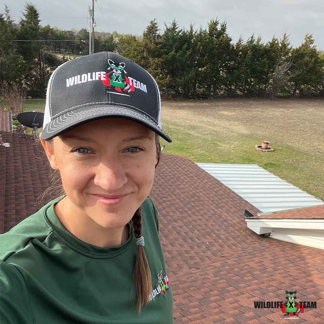 Trusted Wildlife X Team Tulsa technician providing rodent removal in Broken Arrow Oklahoma