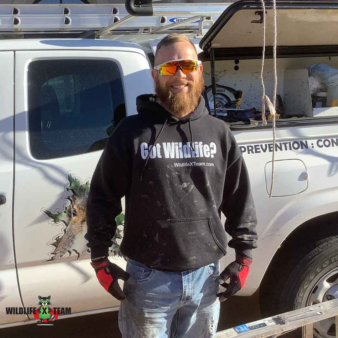 Wildlife removal Tulsa trusted wildlife control professional