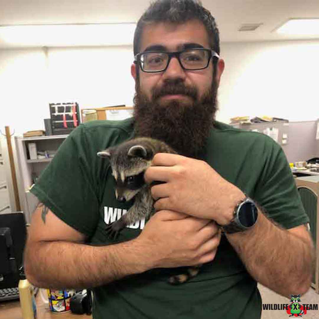 Wildlife X Team Tulsa professional inspecting a home