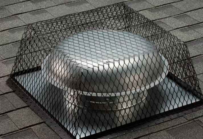 Wildlife x team oklahoma city offers professional wildlife exclusion services.