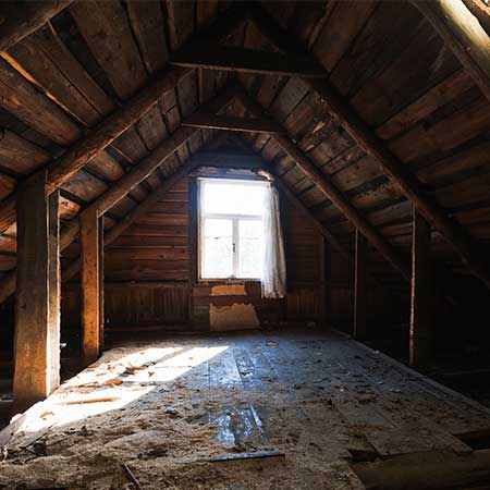 Snake entry inspection in Broken Arrow attic